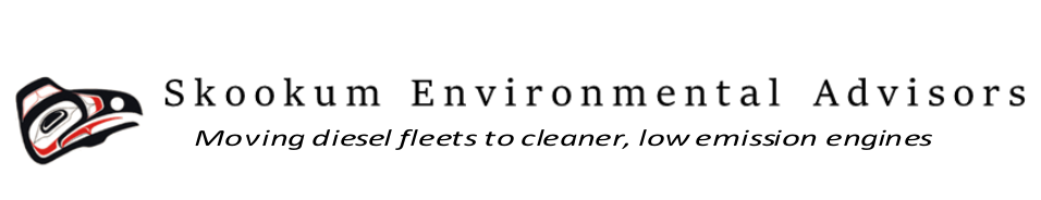 Skookum Environmental Advisors Logo